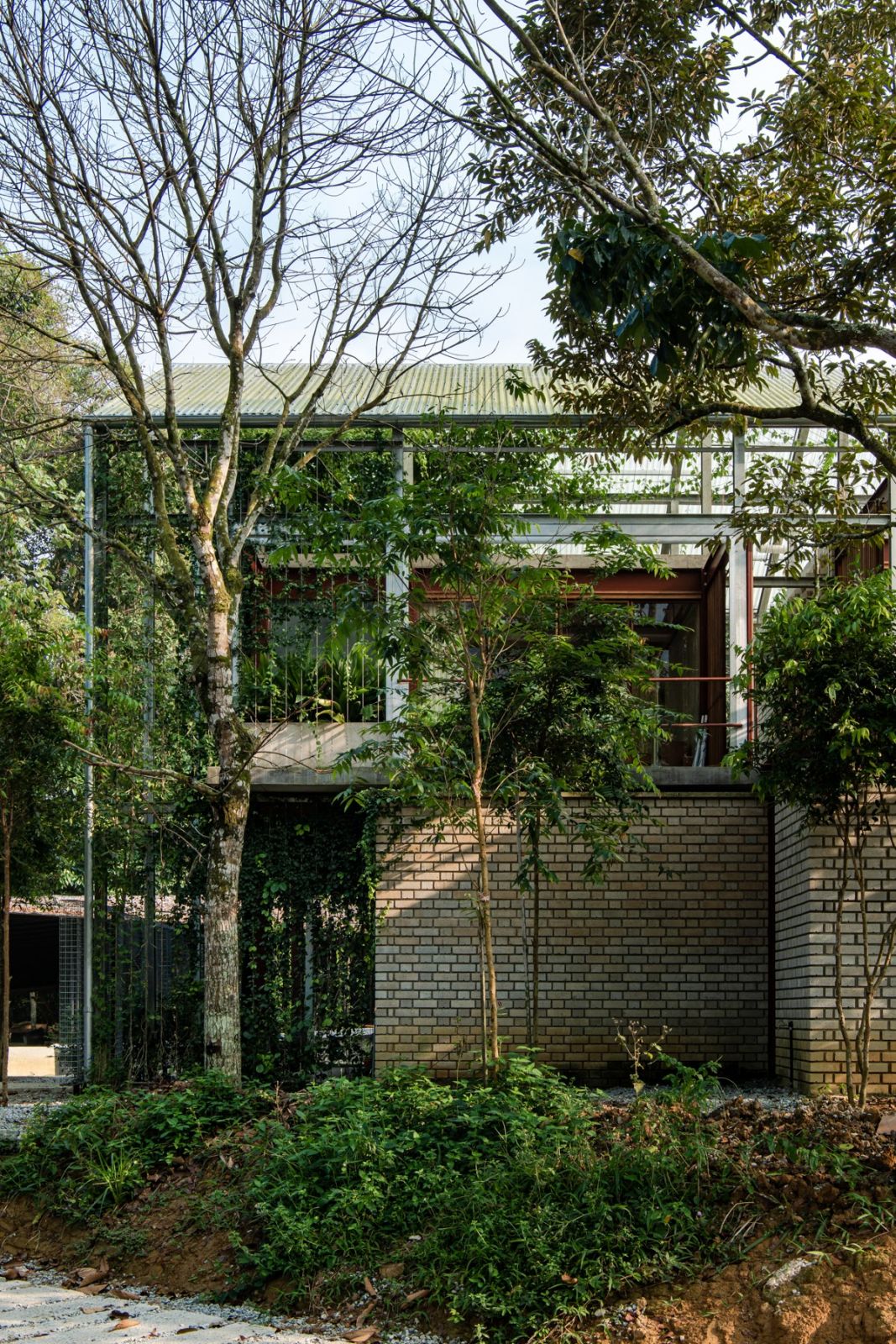 Courtyard House was designed to accommodate a small family that loves greenery