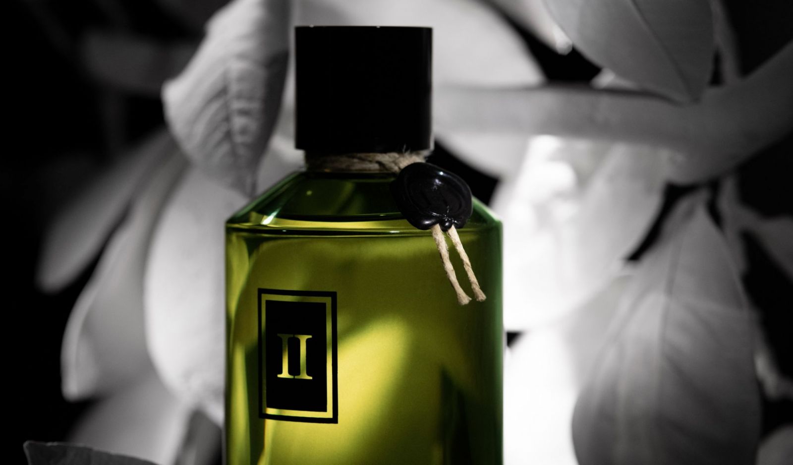 Henry Jacques’ ‘Il Y Avait Un Jardin’ draws on the familiar, nostalgic scents of a garden