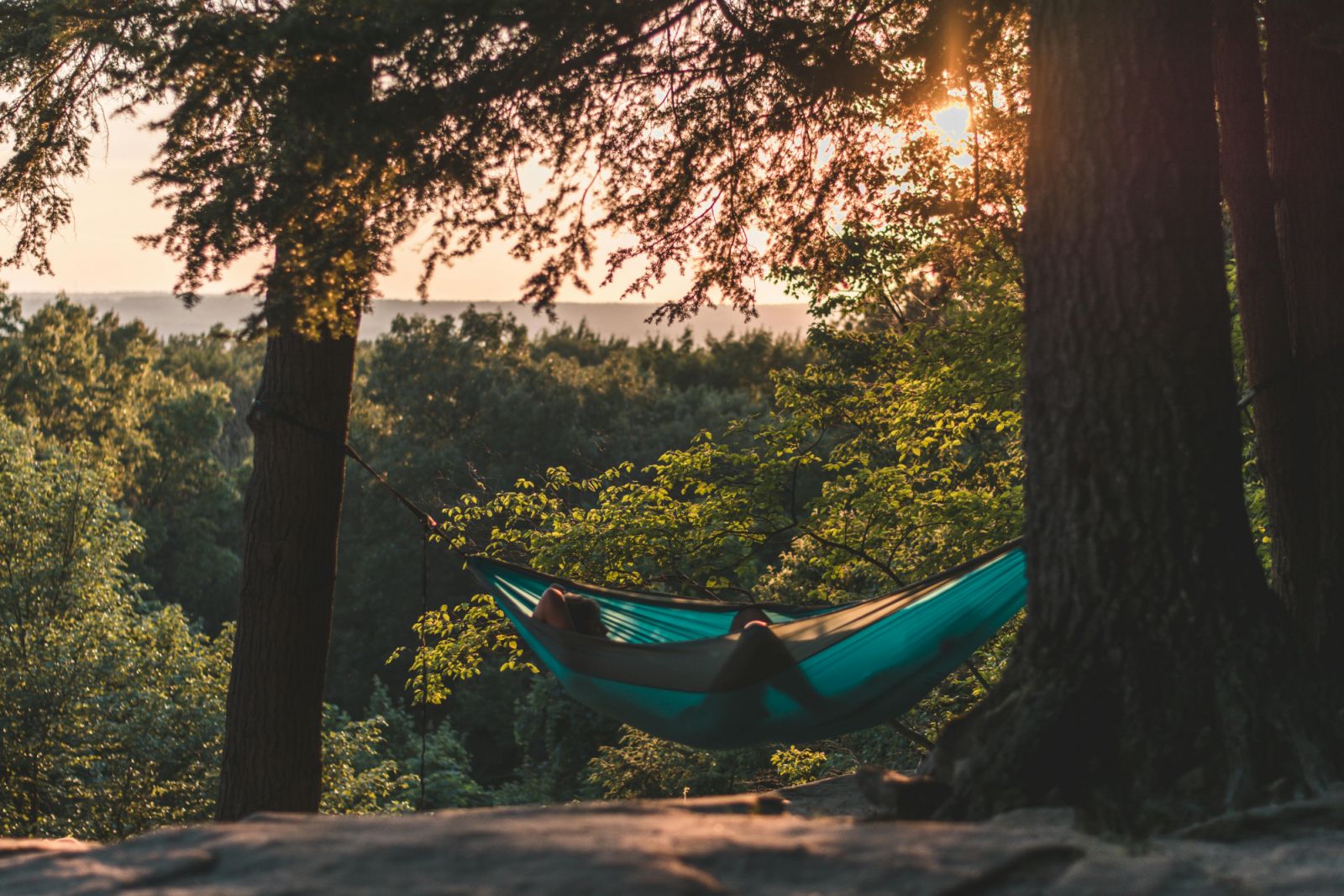 Photo: Max Andrey / Pexels