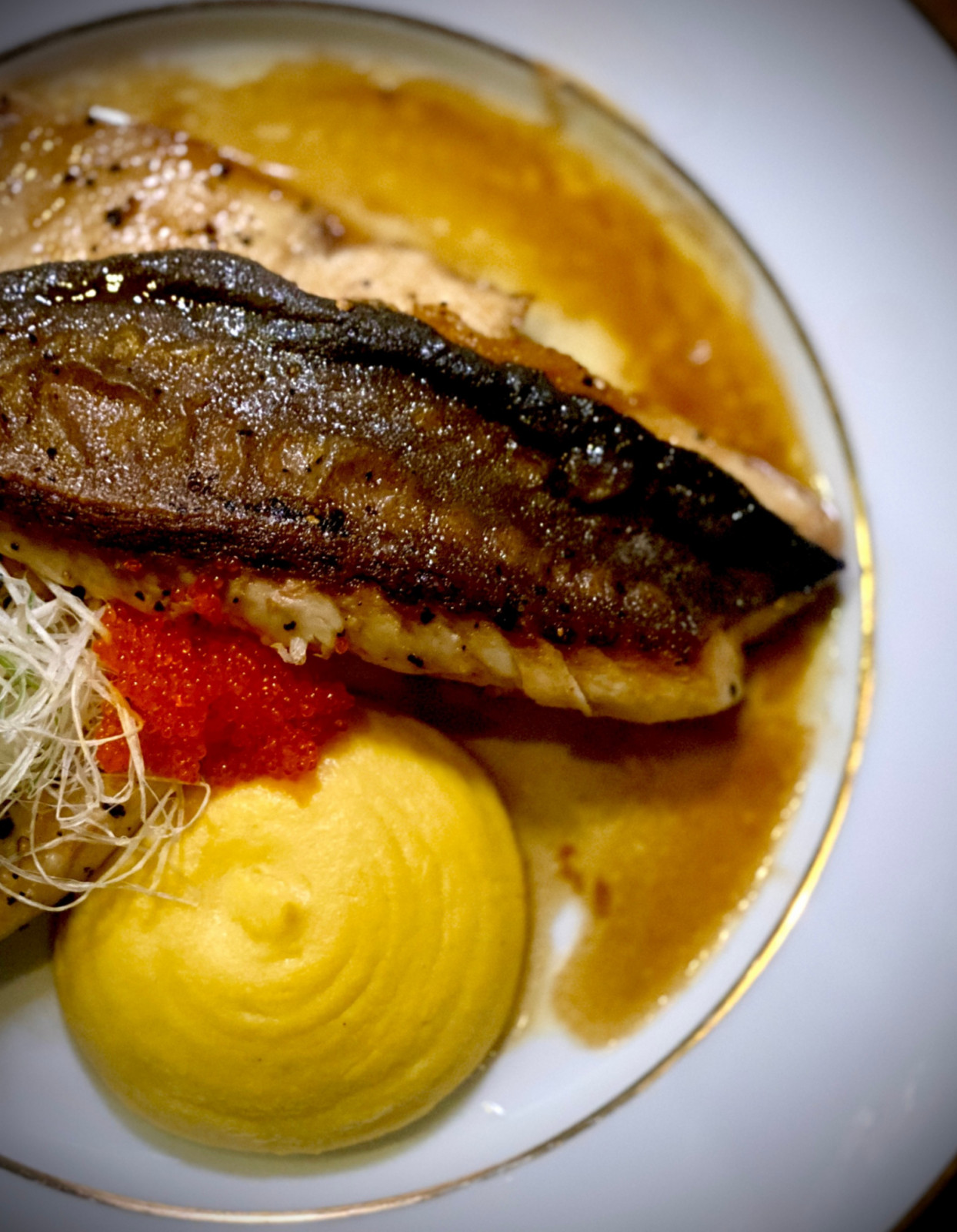 Golden Pomfret (Photo: Copaa)
