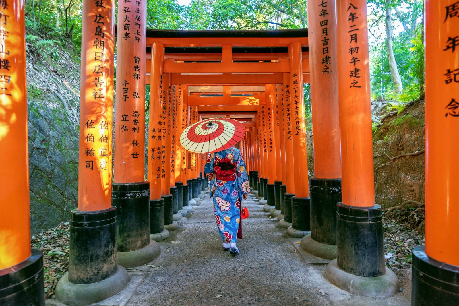 Go for an atmospheric walk through one of Japan’s most iconic and symbolically rich Shinto sites. (Photo: Tawatchai07/Freepik)