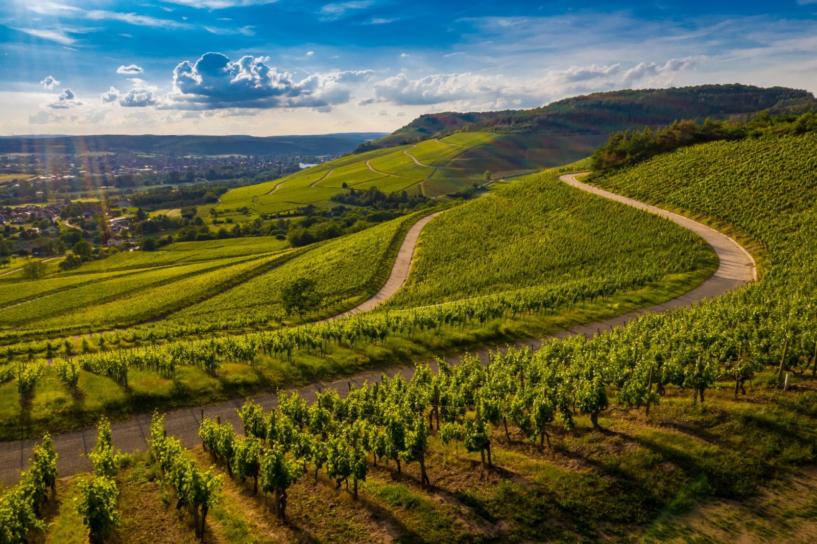 Vineyards at Stellenbosch, South Africa. (Photo: Wirestock/Freepik)