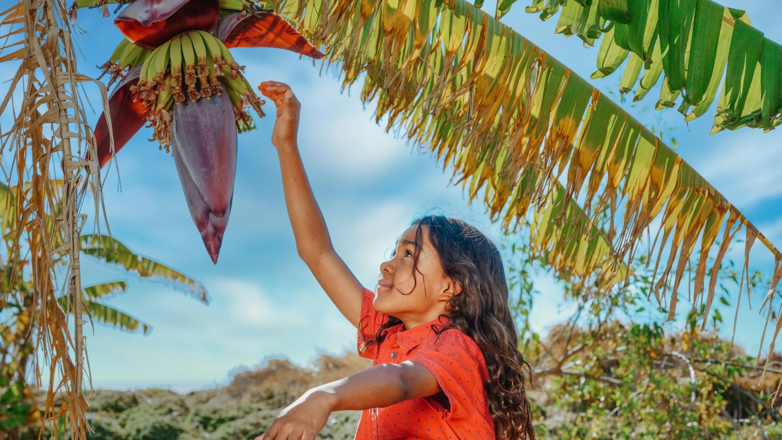 No to food waste: Both the stem and the “heart” of the banana tree are turned into delicious dishes in Asian cuisine (Photo: Kindel Media/Pexels)
