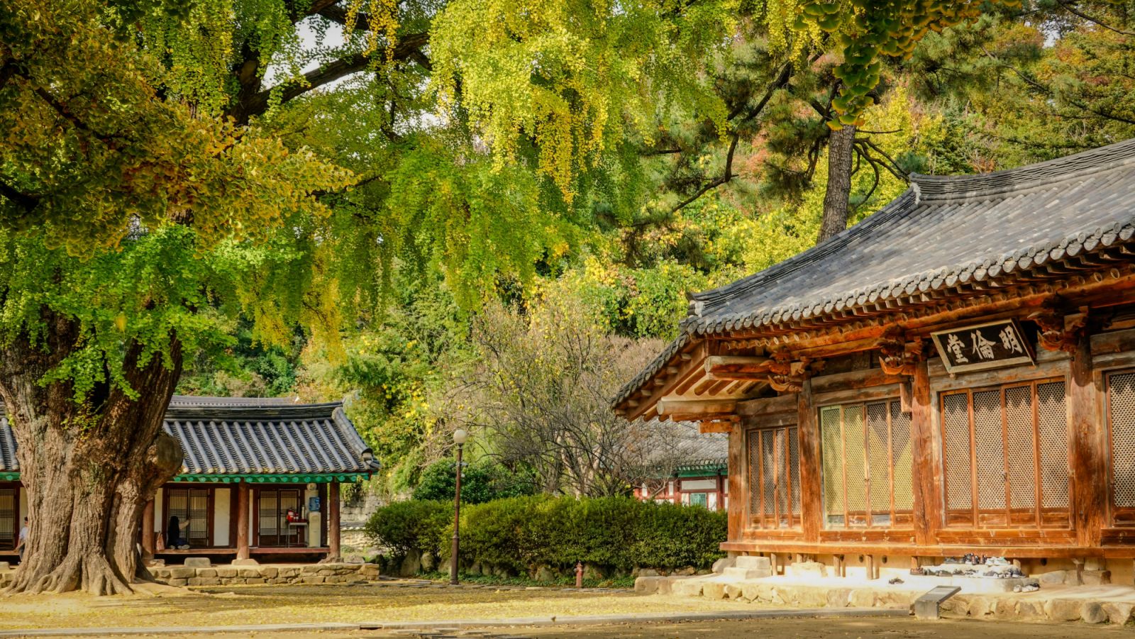 Jeonju