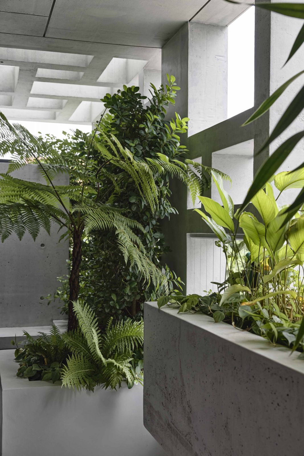 The plants thrive inside the semi-detached house