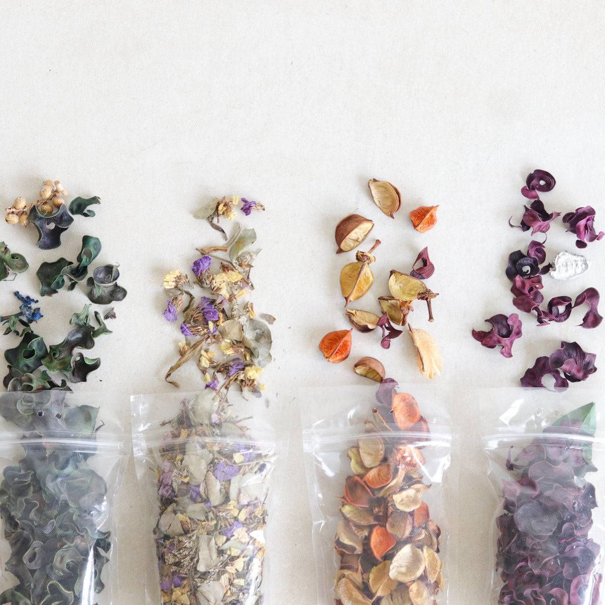 Potpourri from Common Room PH