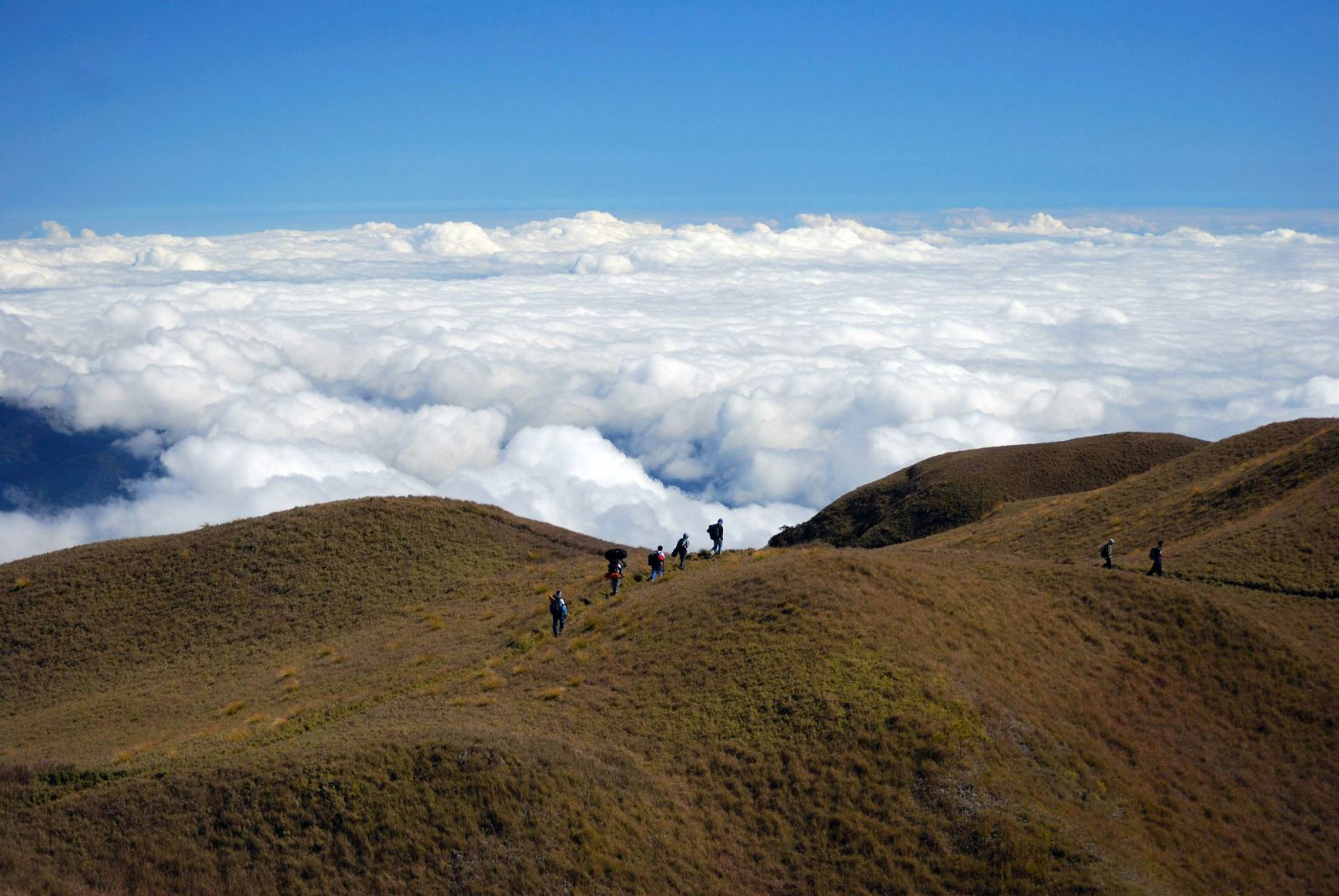 Mt Pulag, Philippines (Photo: Joanne Caselyn / Unsplash)