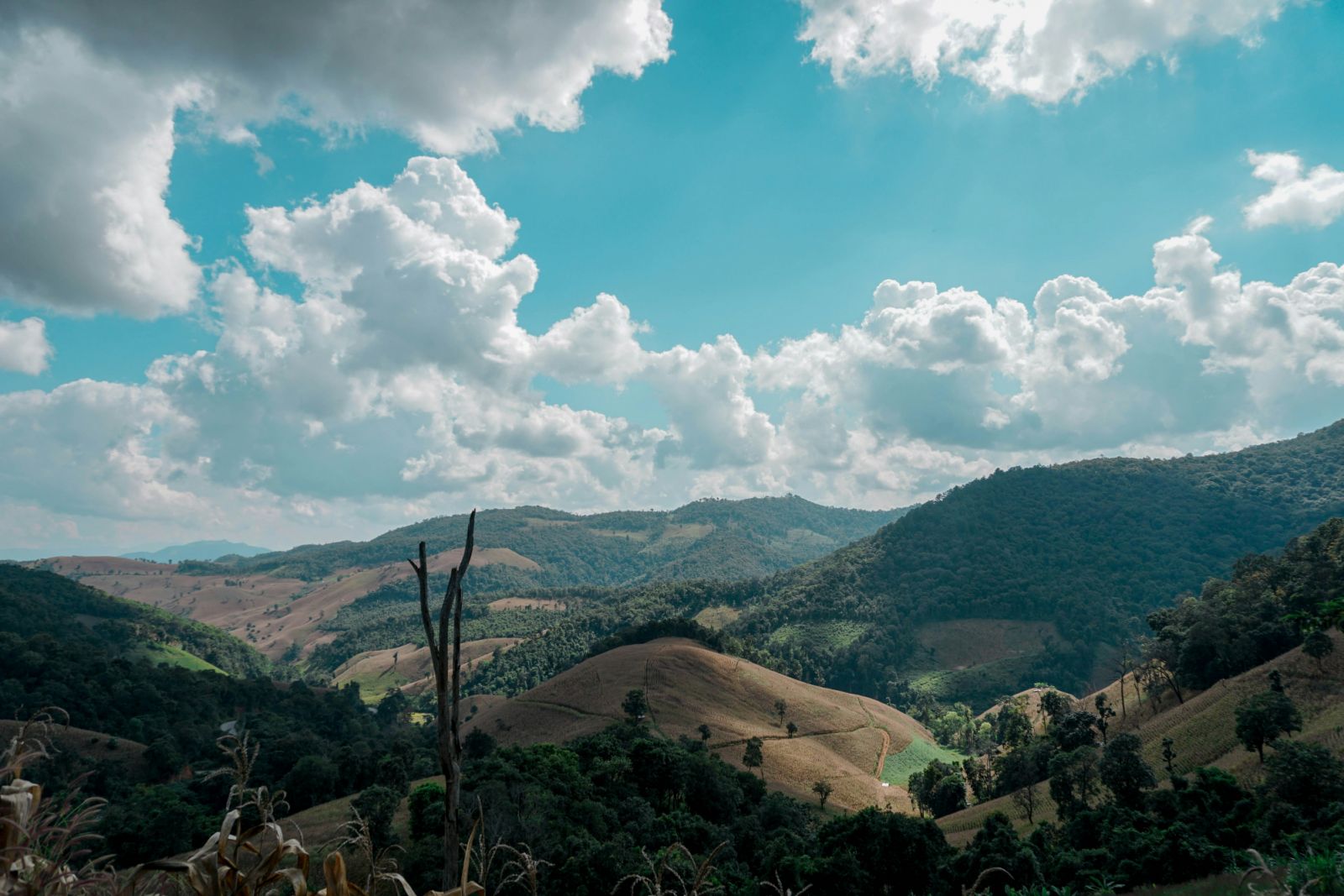 Mae Hong Son, Thailand (Photo: Antonio Araujo / Unsplash)