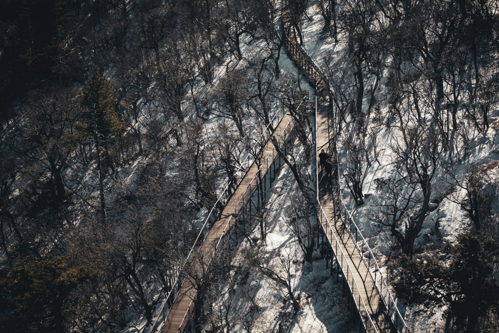 Pyeongchang, South Korea (Photo: 정규송 Nui MALAMA / Pexels)