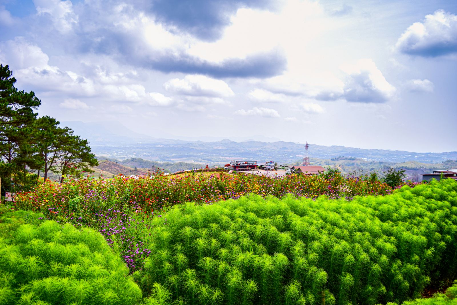 Khao Kho, Thailand (Photo: Nopparuj Lamaikul / Unsplash)