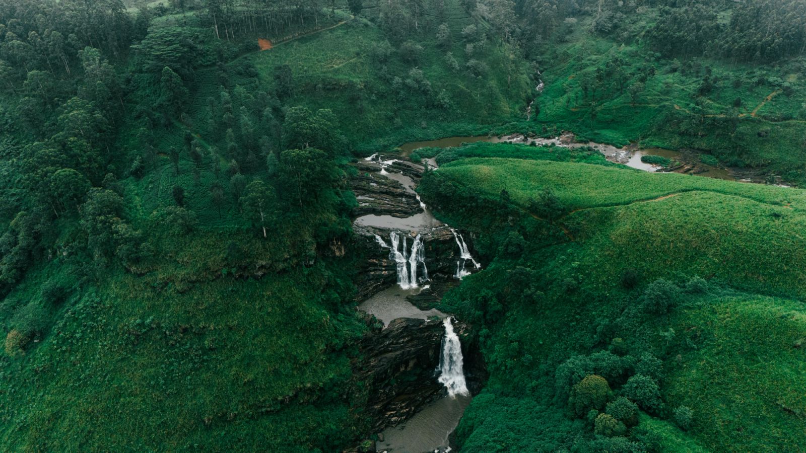 Mountain escapes are top-notch in Sri Lanka (Photo: Eslam Mohammed Abdelmaksoud / Pexels)
