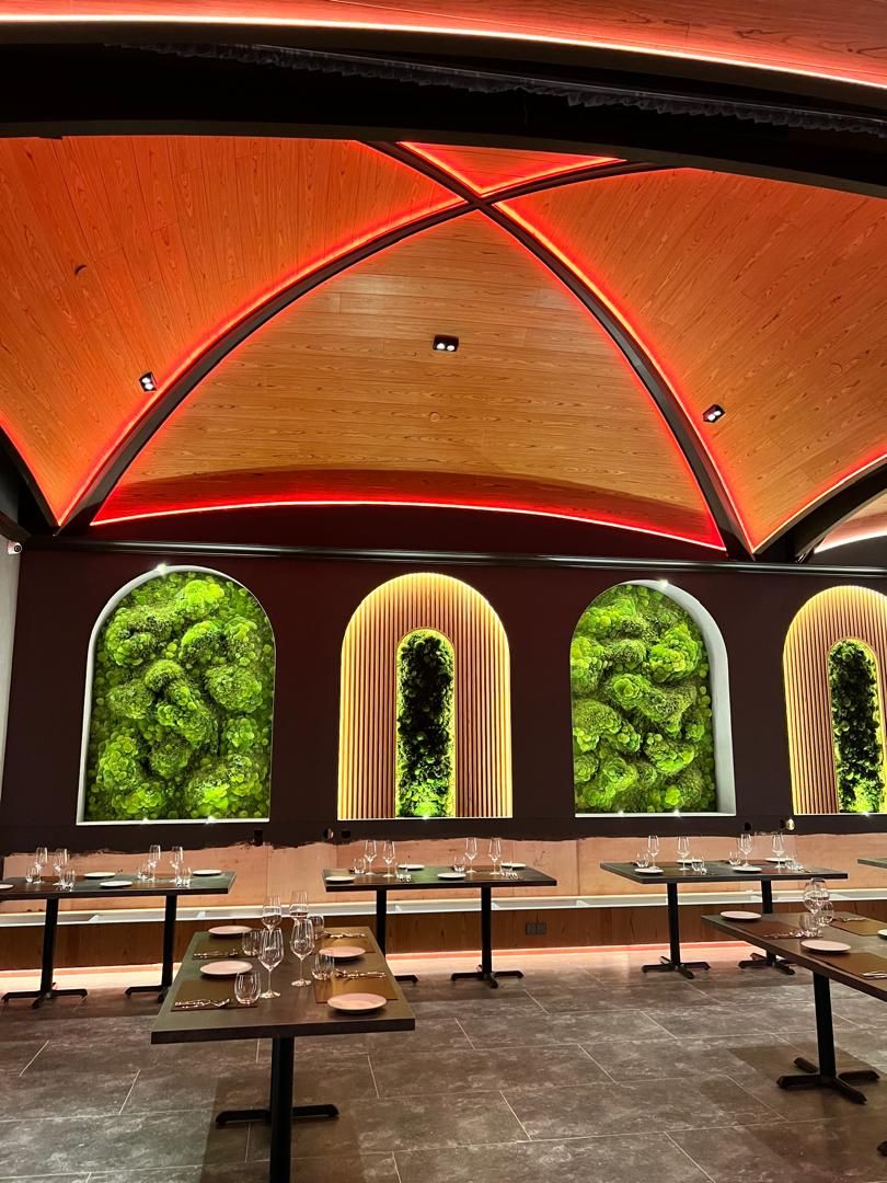 Photo: Bref by Darren Chin