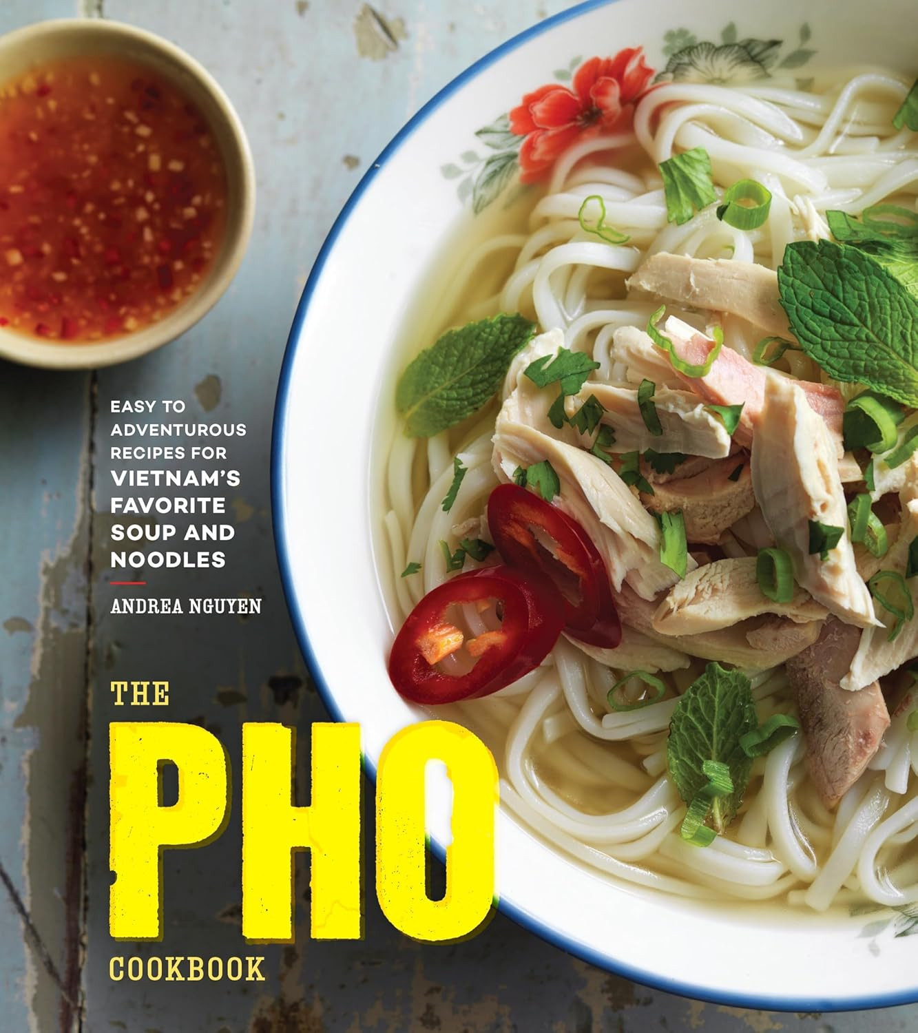 ‘The Pho Cookbook: Easy to Adventurous Recipes for Vietnam’s Favorite Soup and Noodles’ by Andrea Nguyen (Photo: Ten Speed Press)