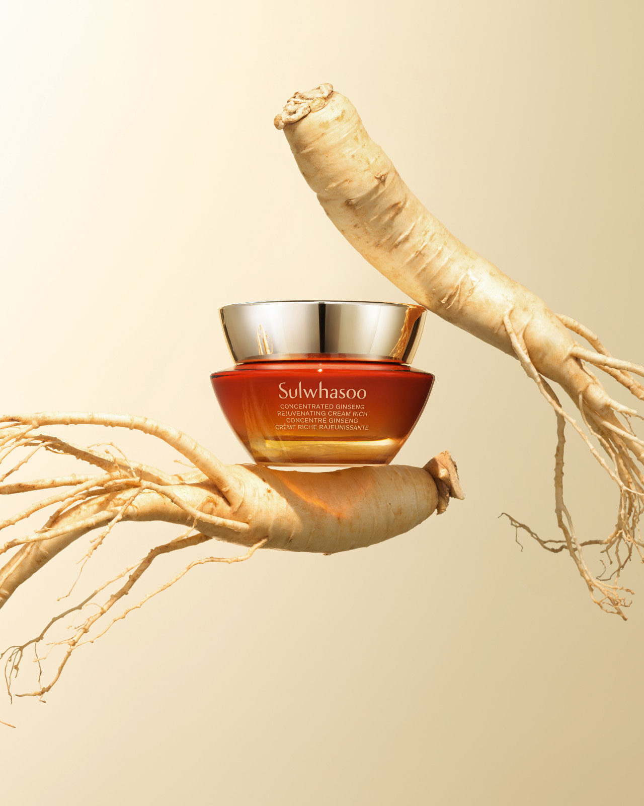Sulwhasoo Concentrated Ginseng Rejuvenating Cream