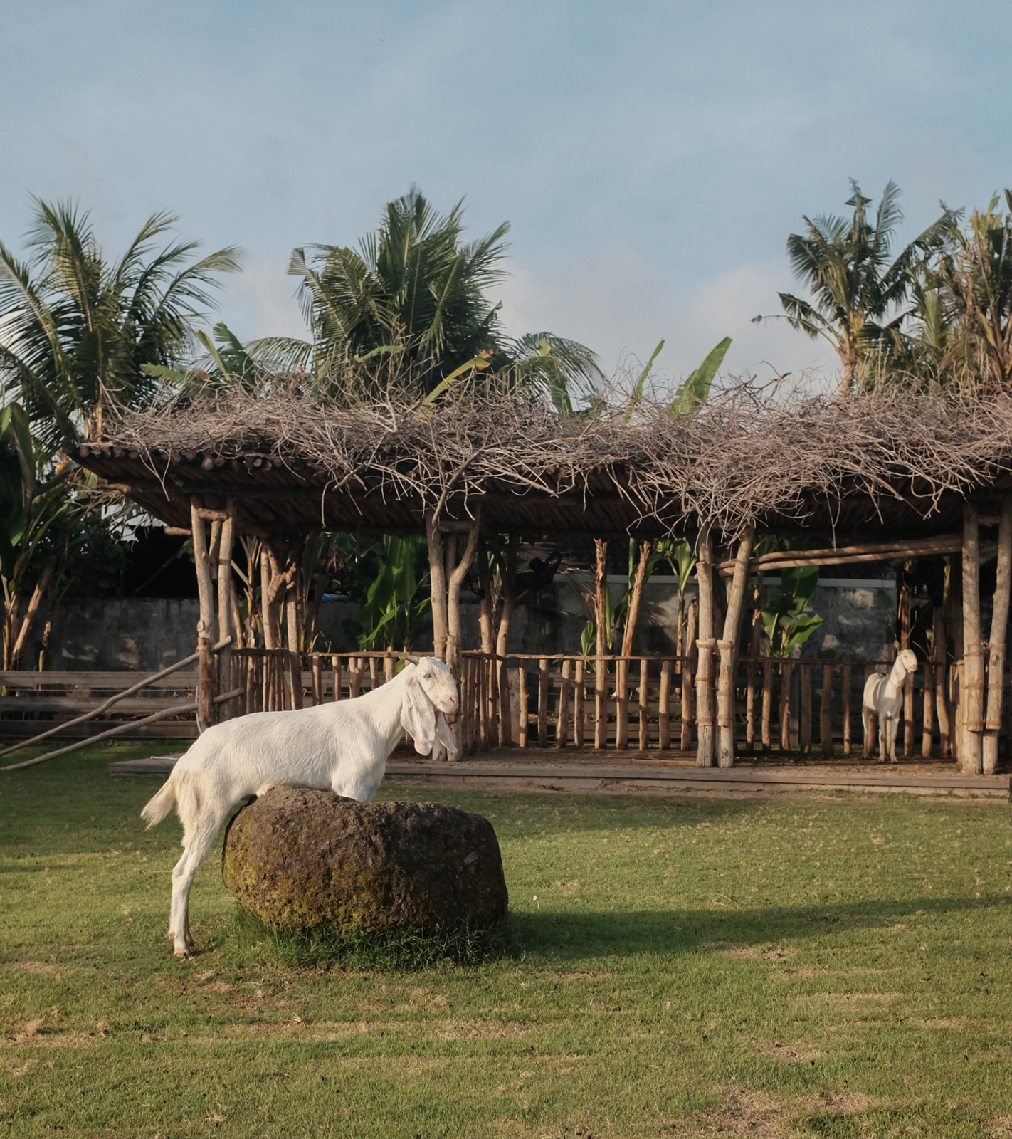 Lodge in the Woods, Kaba-Kaba, Bali (Photo: Lodge in the Woods website)
