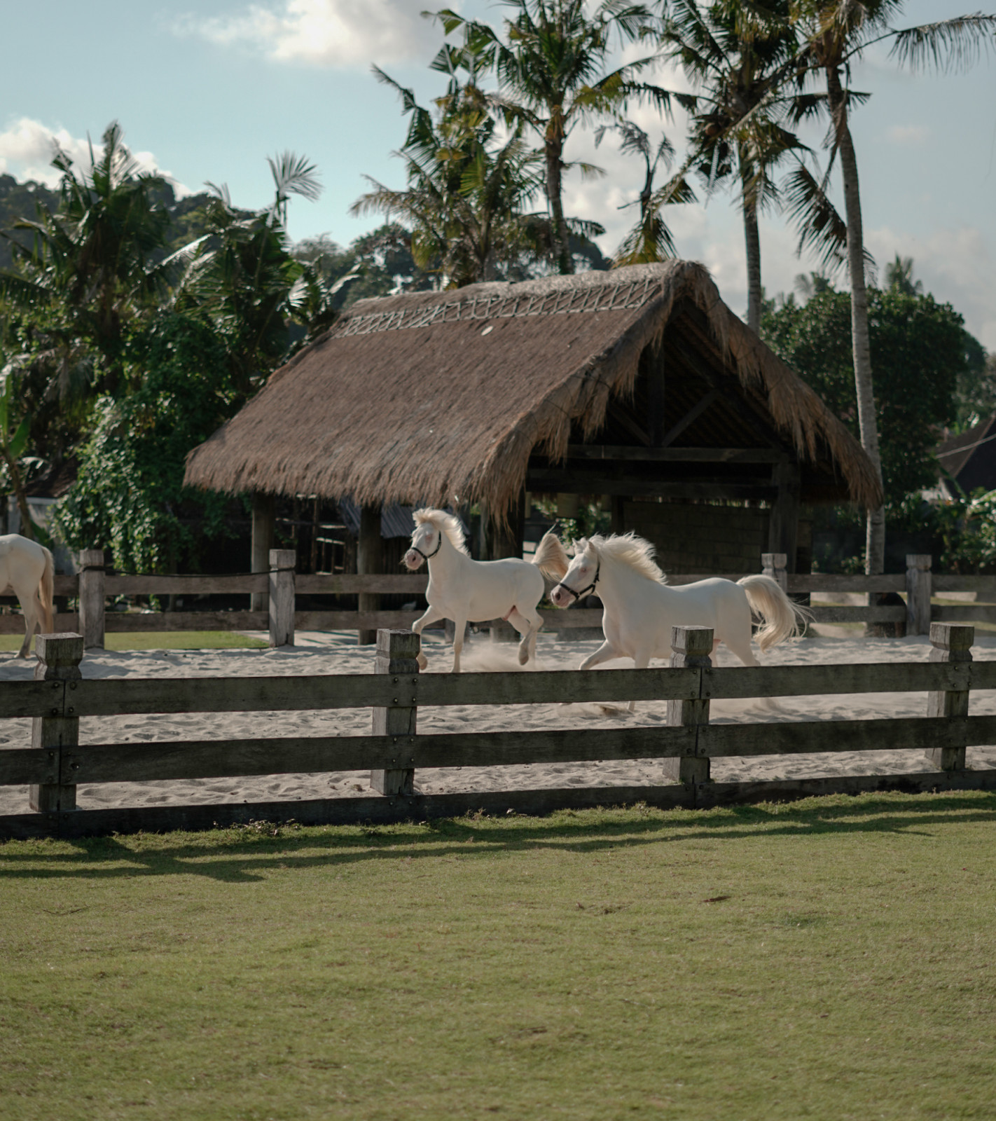 Lodge in the Woods, Kaba-Kaba, Bali (Photo: Lodge in the Woods website)