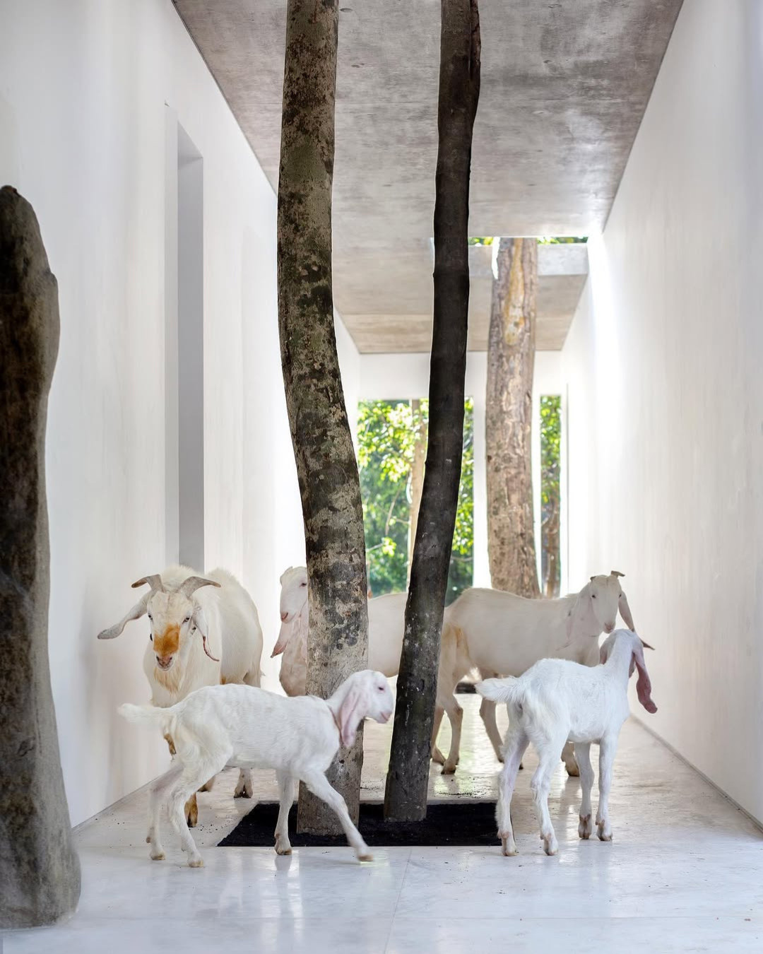 Lodge in the Woods, Kaba-Kaba, Bali (Photo: Instagram/@lodgeinthewoods)