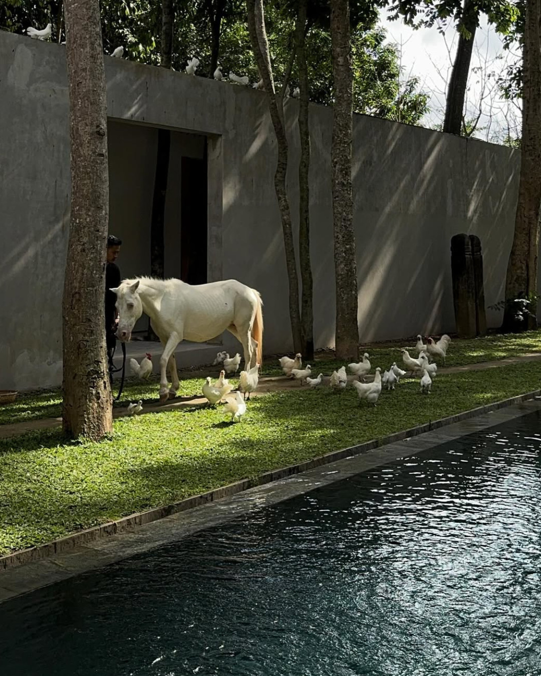 Lodge in the Woods, Kaba-Kaba, Bali (Photo: Instagram/@lodgeinthewoods)