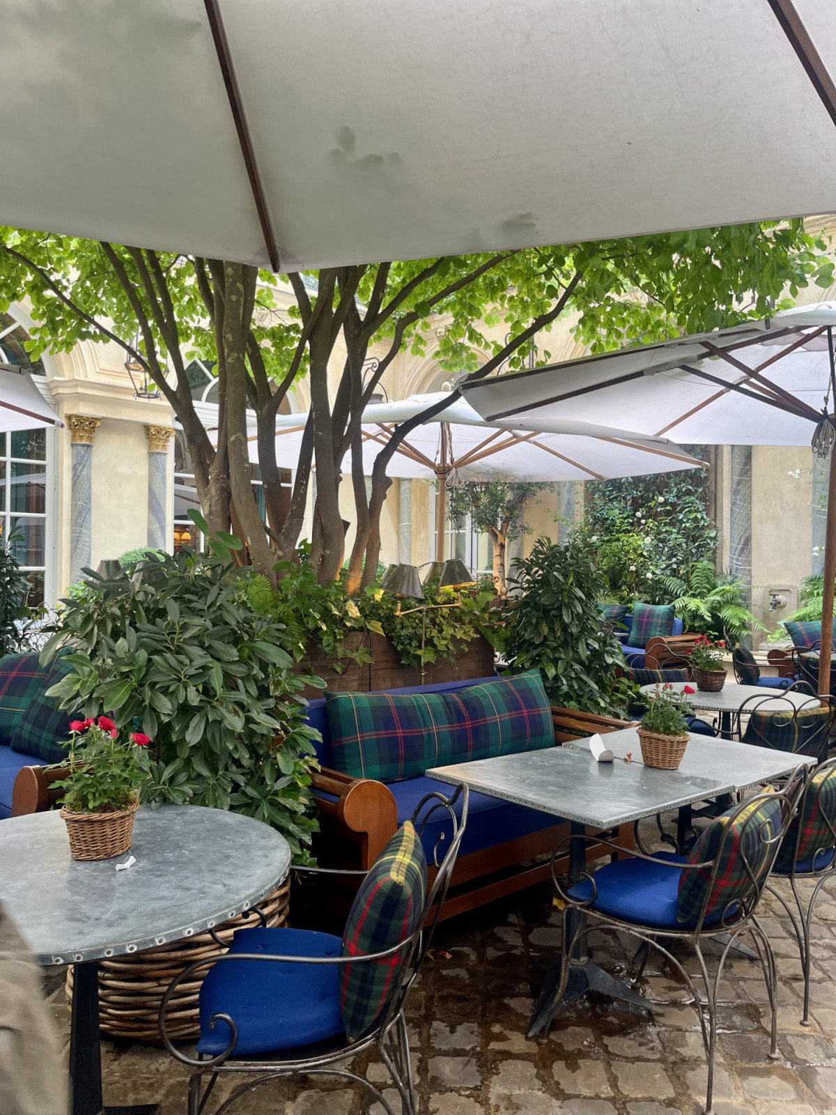 Ralph's charming courtyard (Photo: Mia Borromeo)