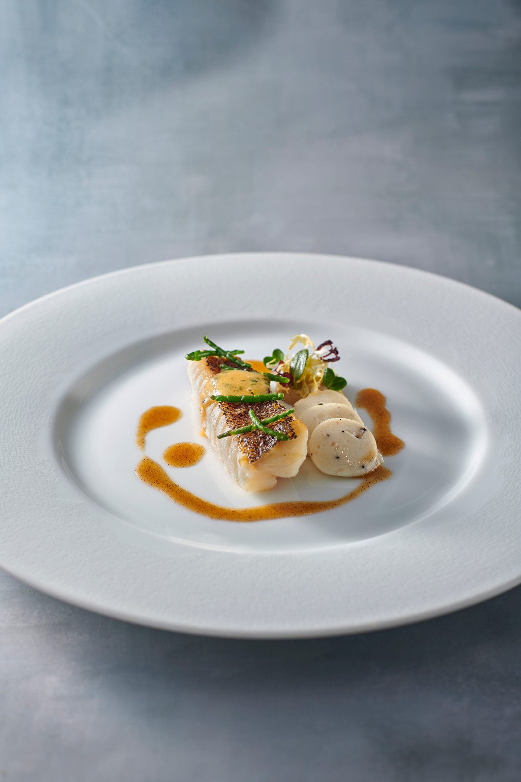 Tiger grouper (Photo: Sabayon)