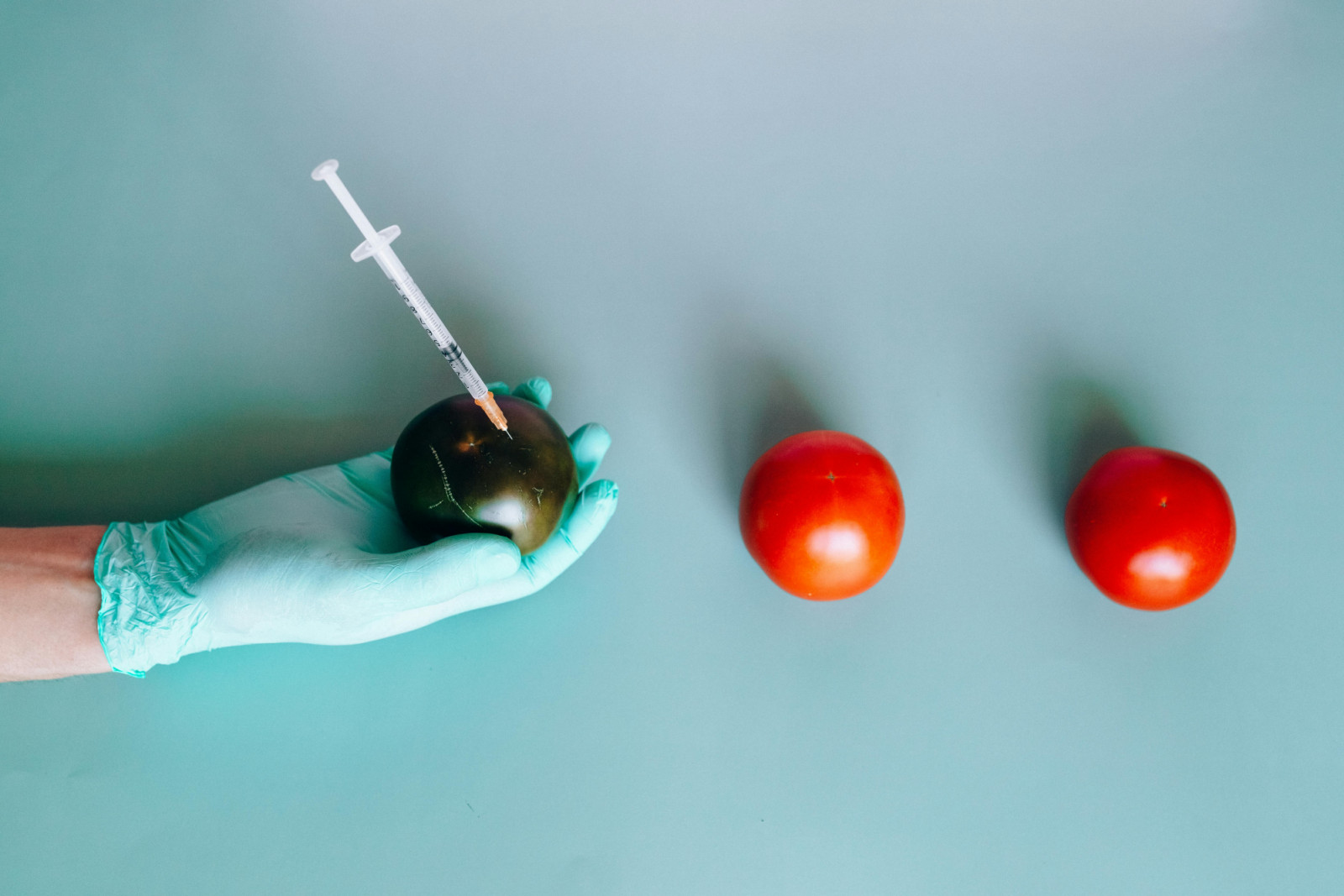 With more than 30 years of experience in the academe, Dr Francisco’s research interests span consumer and sensory science, product development, food functionality, peanut processing and quality food packaging. (Photo: Nataliya Vaitkevich/Pexels)