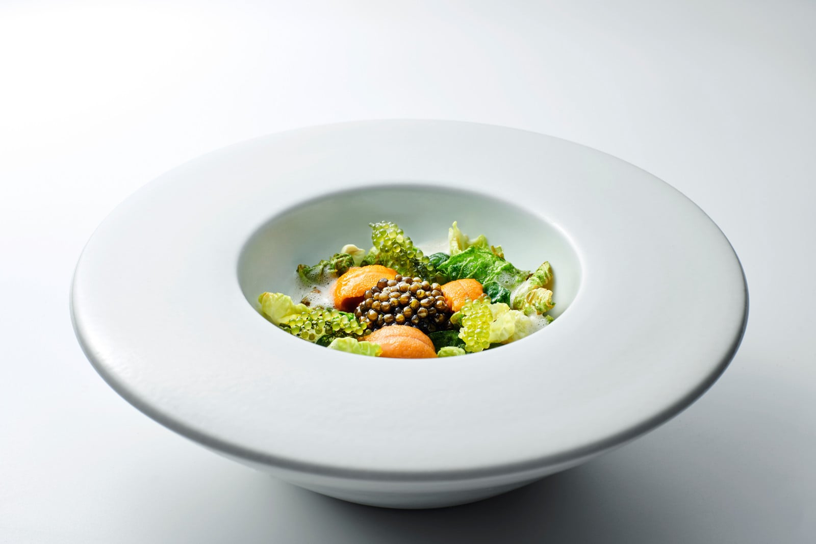 Sprouts (Photo: Molina)