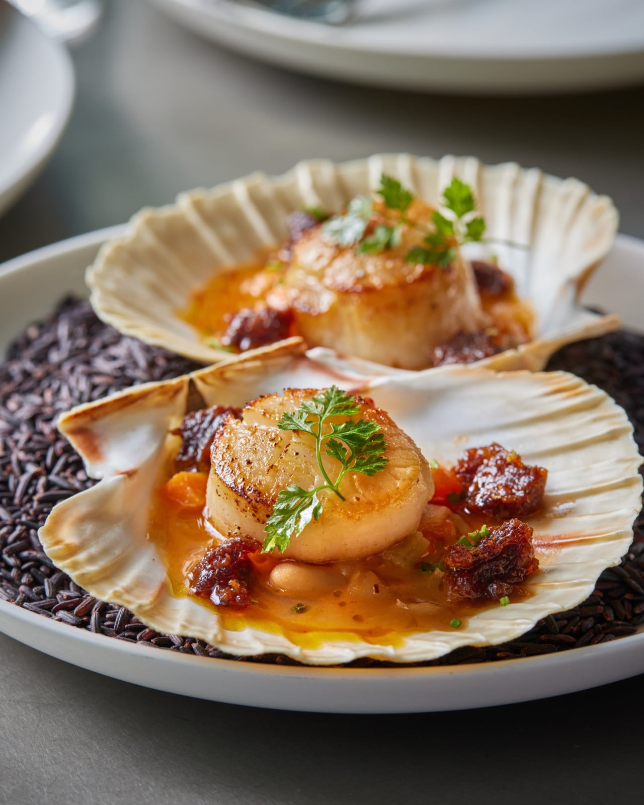 Hokkaido Scallops with Stewed Cannellini Beans (Photo: Fritz)