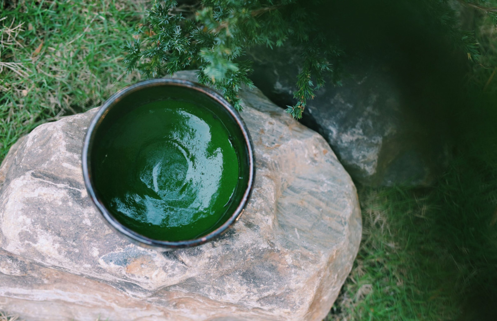 Photo: Nagocha