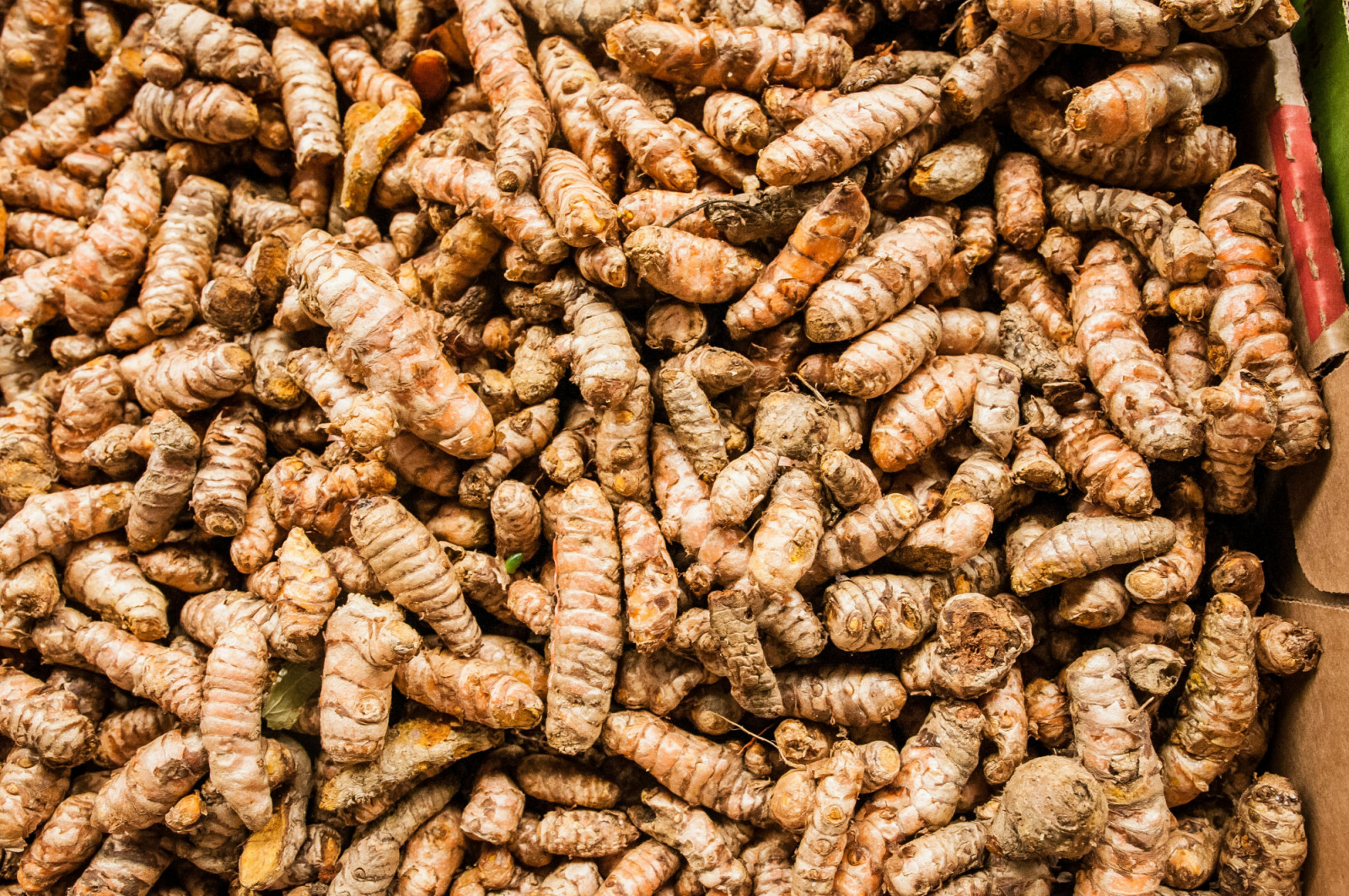A golden root long celebrated in traditional Asian remedies for its anti-inflammatory properties. (Photo: Dyah Miller / Unsplash)