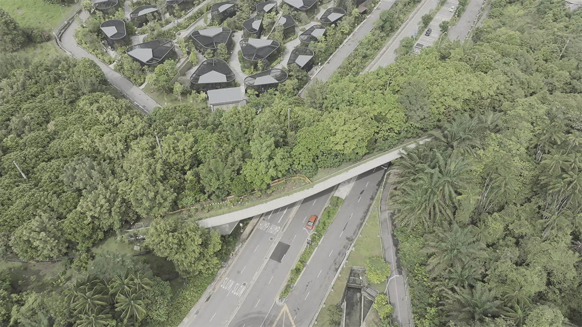 The Mandai Wildlife Bridge. Photo: Mandai Wildlife Group