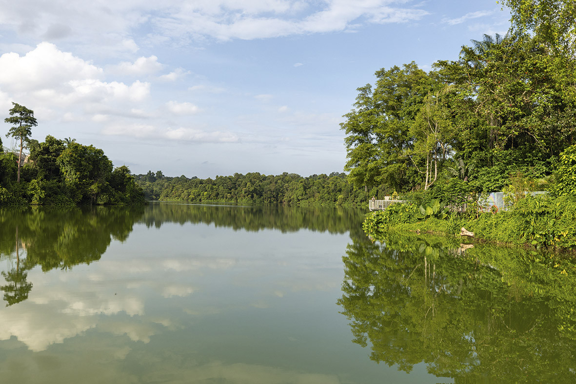 The Mandai Boardwalk was built with environmental sensitivity. Photo: Mandai Wildlife Group