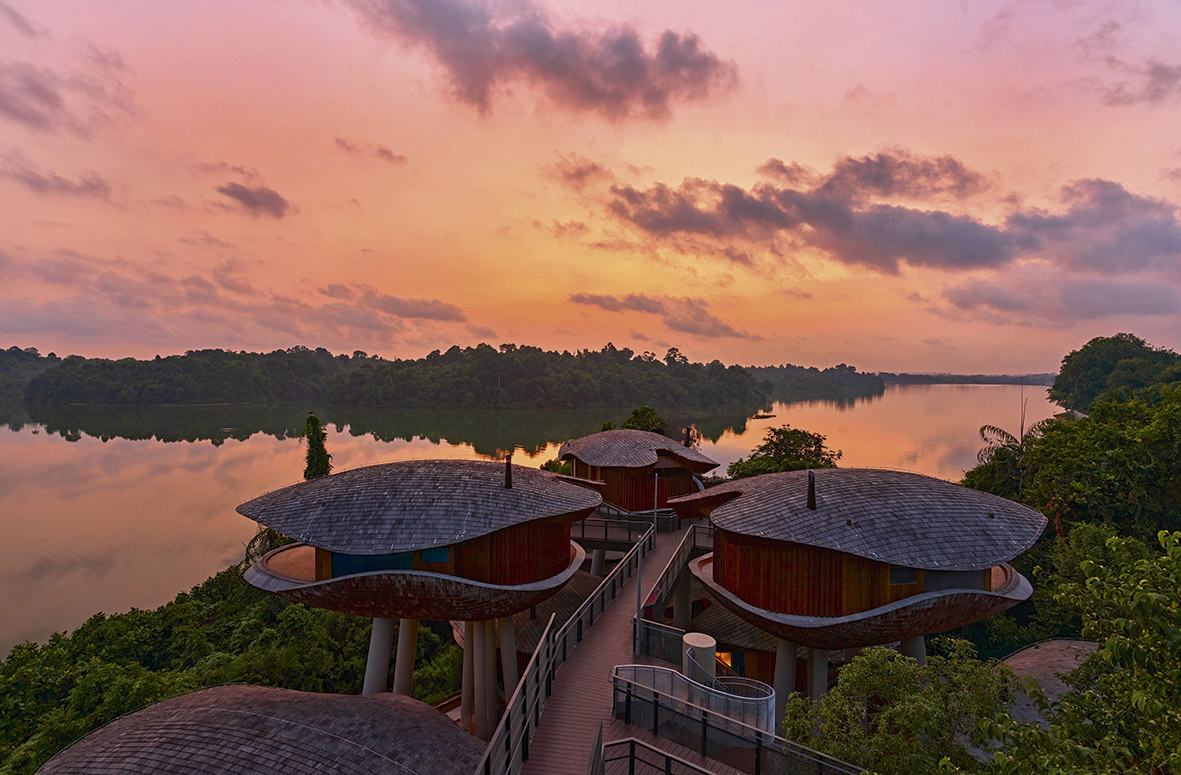 The Mandai Sanctuary Treehouses at Mandai Rainforest Resort by Banyan Tree are inspired by seed pods. Photo: Mandai Rainforest Resort by Banyan Tree