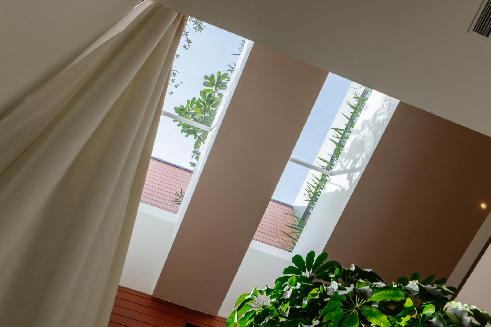 The interstitial space between volumes of the semi-detached house offers a peek of the rooftop grenery and bathes the indoor plant in sublight