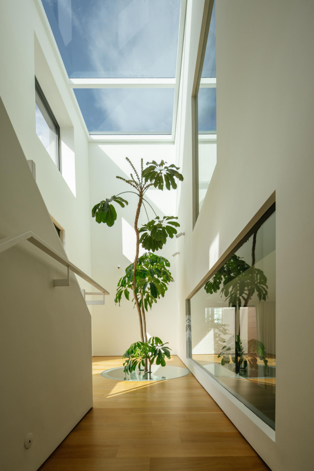 A large skylight and circular floor opening accommodate a tall tree, transforming this staircase landing into a delightful tableau