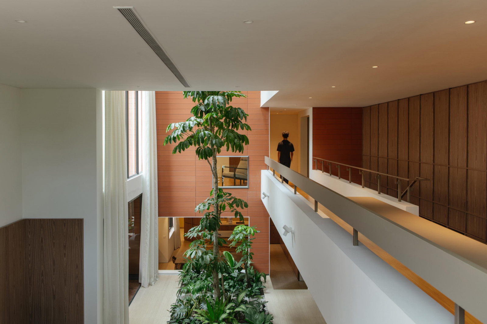 A view across the upper-level corridor reveals the umbrella tree rising through the atrium, its canopy drawing light and greenery into the heart of the semi-detached home