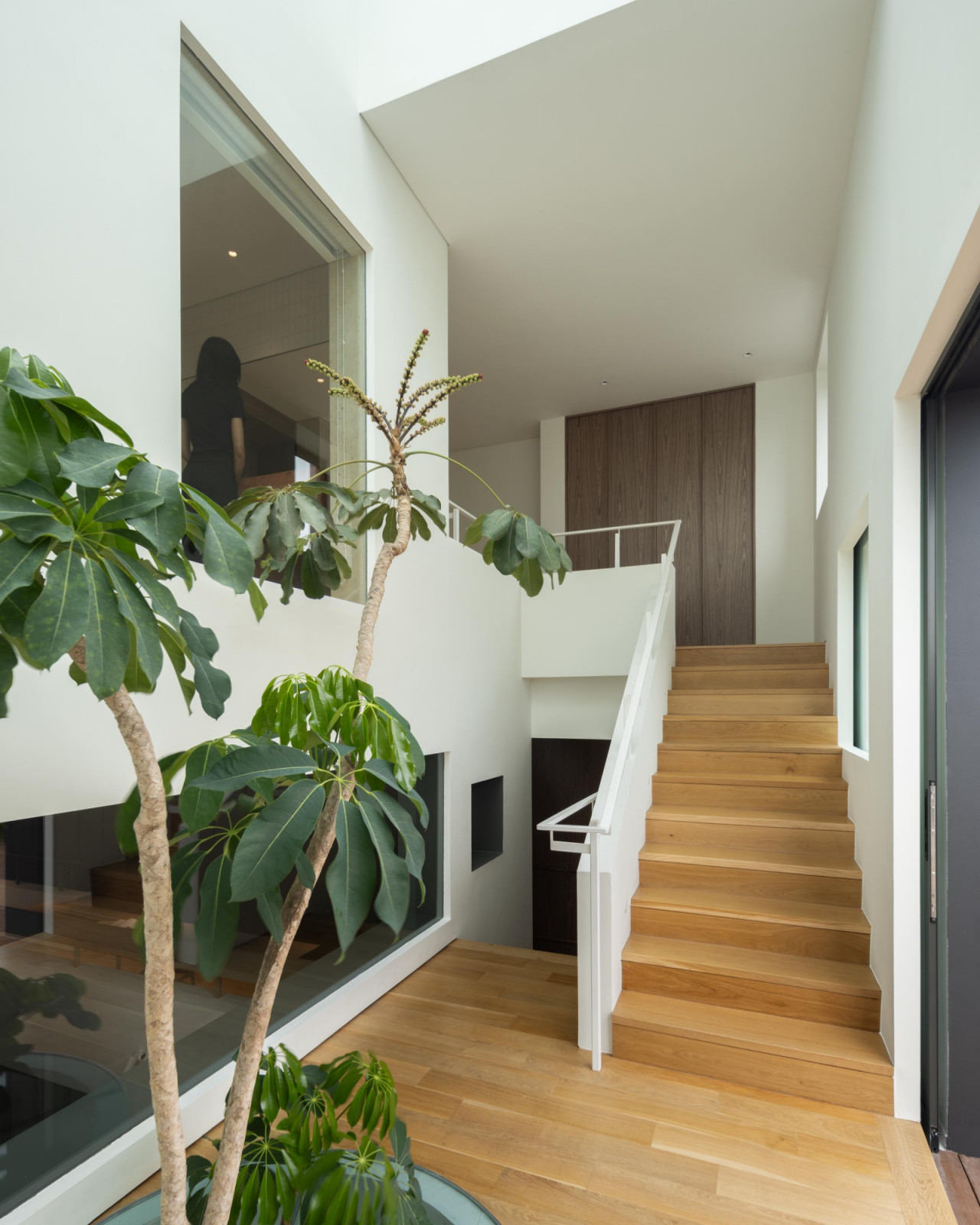 he transition from two to four storeys creates a spatial sequence that unfolds like a quiet journey of discovery
