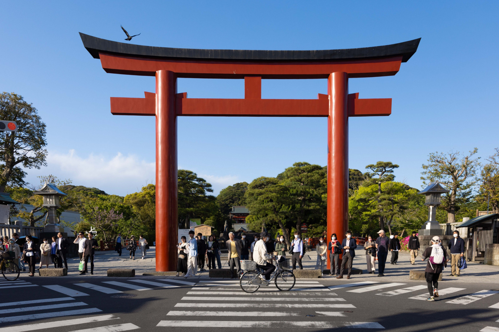 KAMAKURA, KANAGAWA, JAPAN - 2023/04/16: Pedestrians wait for a green light in front of Tsuruoka Hachimangu shrine. After three and a half years of Covid-19 pandemic, international tourists have returned to Japan and its famous tourist destinations. (Photo by Stanislav Kogiku/SOPA Images/LightRocket via Getty Images)