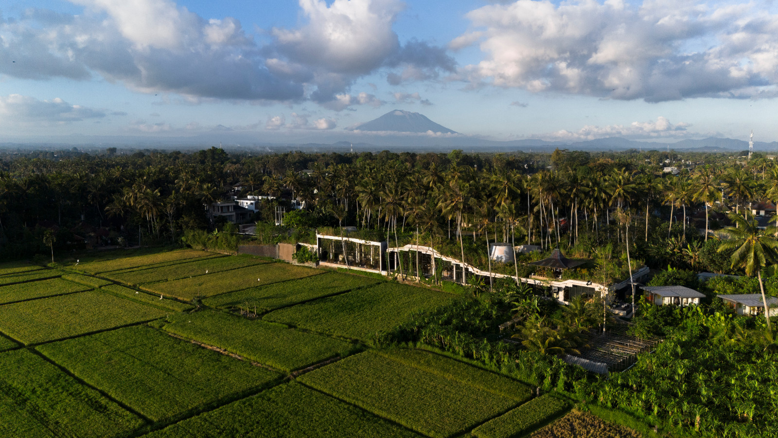 Locavore Nxt, Lodtunduh, Ubud