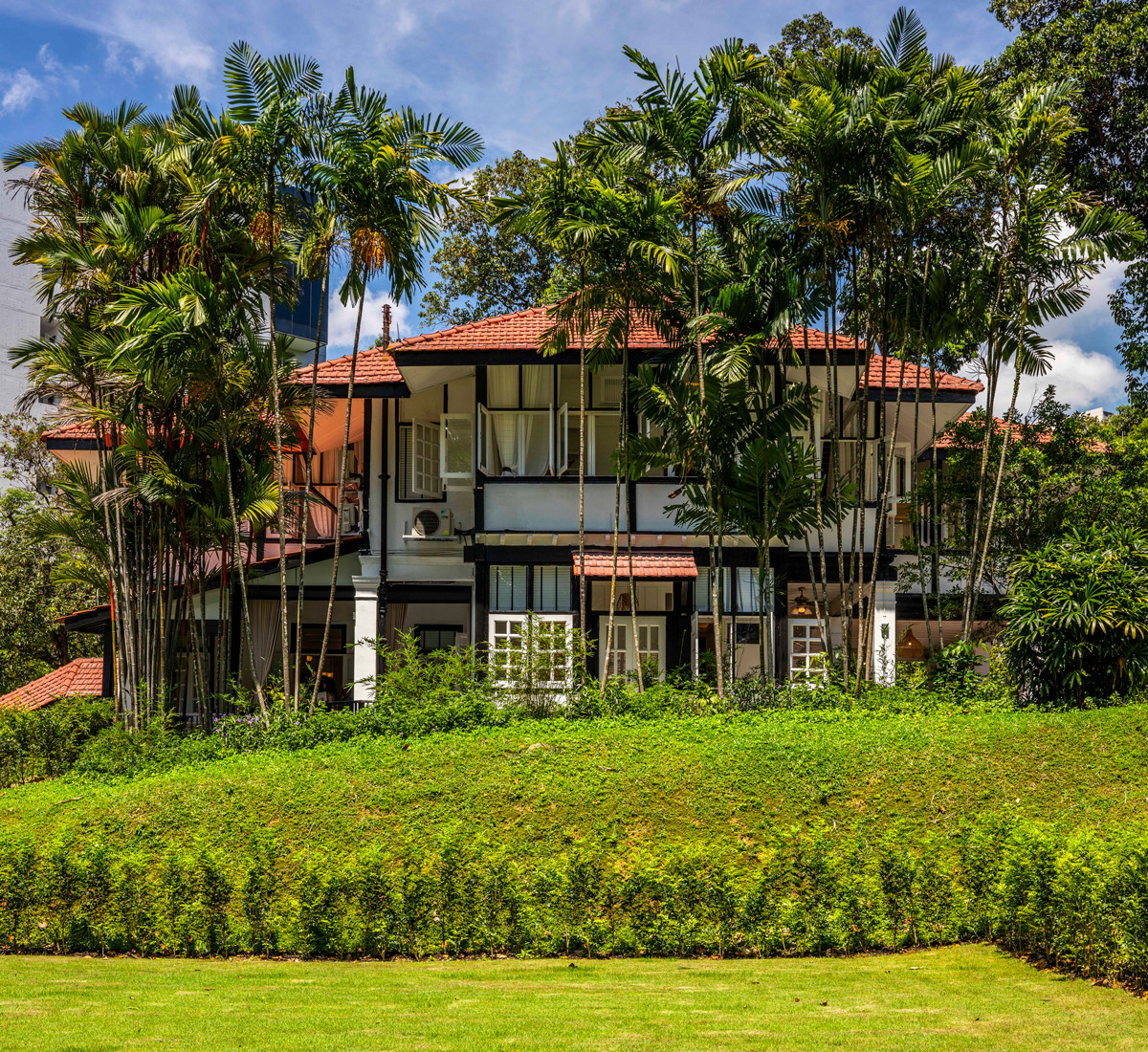 A view of the black-and-white house framed by a row of palm trees; the garden is planted with unscented flowers, in keeping with feng shui guidance
