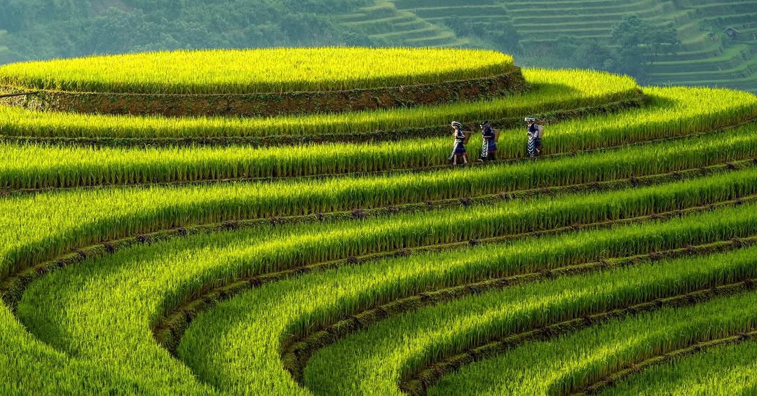 Where terraced mountains meet bamboo architecture—Vietnam’s newest resort redefines high-altitude hospitality. (Photo: garrya.mucangchai / Instagram)
