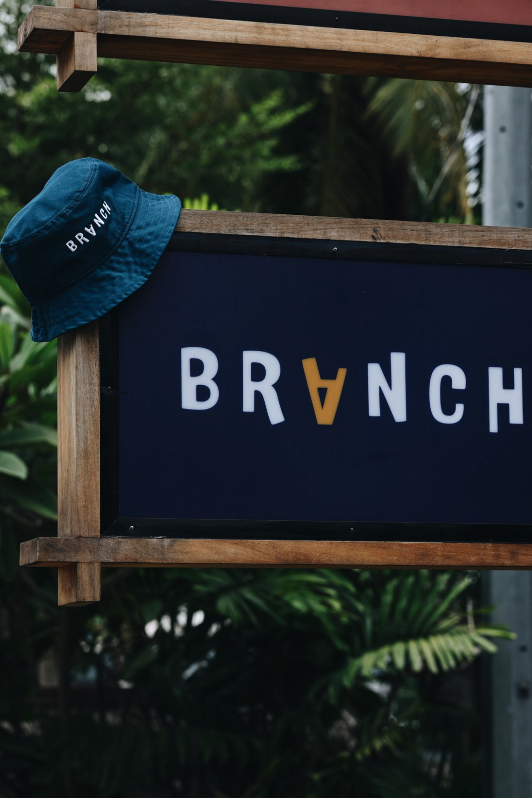 Branch by Roots 2