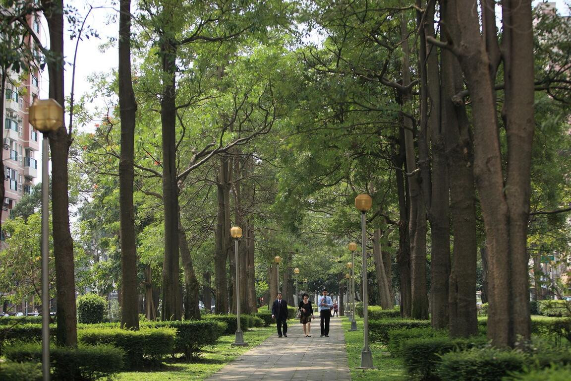 Calligraphy Greenway, a tree-lined cultural corridor in Taichung linking major museums with cafés, galleries and public art. (Photo: Taichung Travel / Instagram)