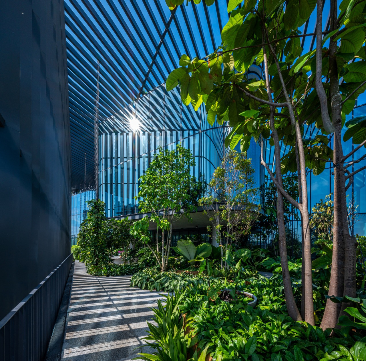 Landscaped terraces and outdoor walkways at the GDP Campus demonstrate the firm’s commitment to integrating natural elements and sustainable design principles into its own workplace environment.