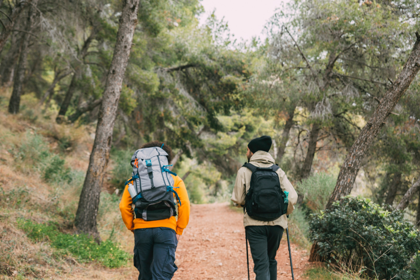A short walk, stretch or hike can keep your digestion moving and energy levels steady while you travel. (Photo: Freepik)
