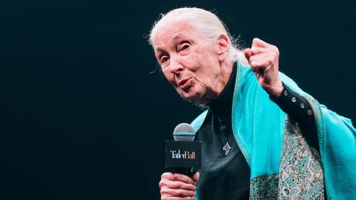 Jane Goodall, Humanity Award 2024, Hong Kong