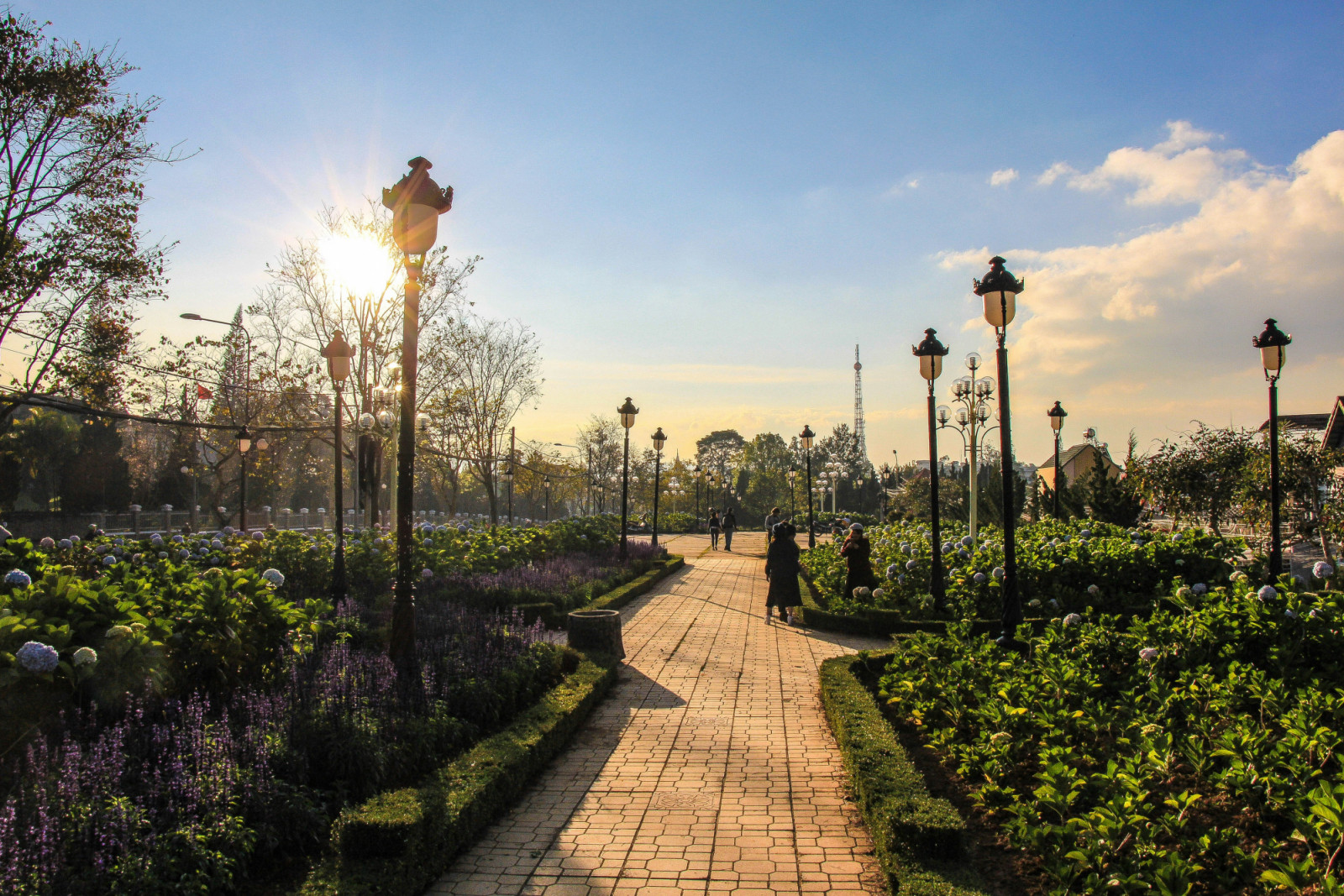 A cool, sunny day in Da Lat, Vietnam (Photo: Unsplash/René DeAnda)