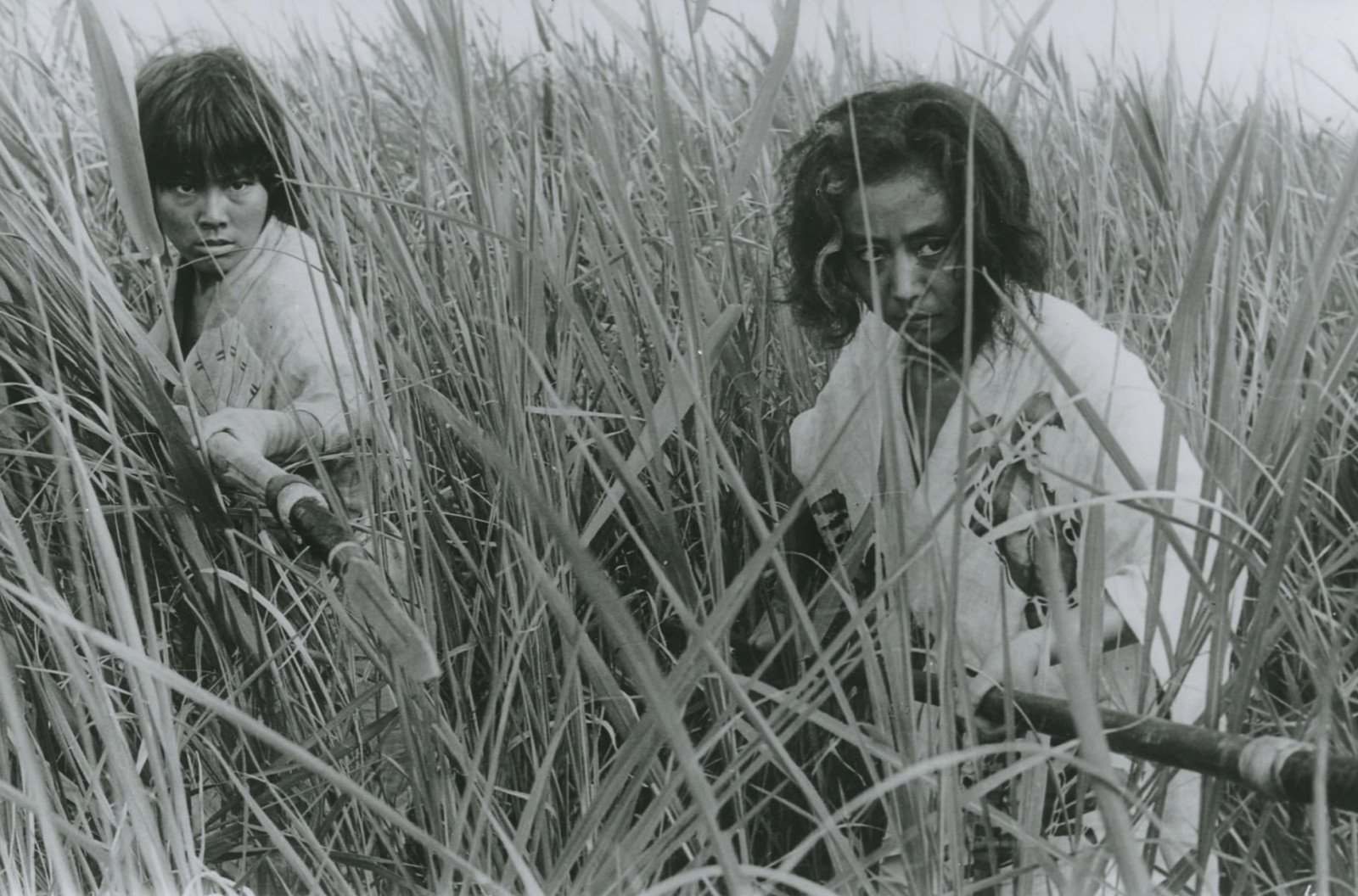 Japanese horror film starter pack: 5 essential movies to watch first