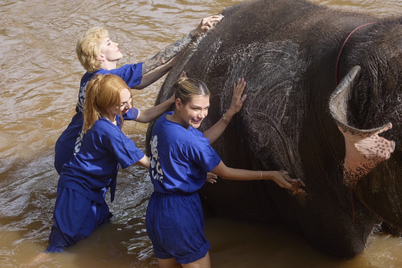 การอาบน้ำช้างในกิจกรรม “To The Nature’s Embrace” (ภาพ: ทิฟฟานี่โชว์ พัทยา)