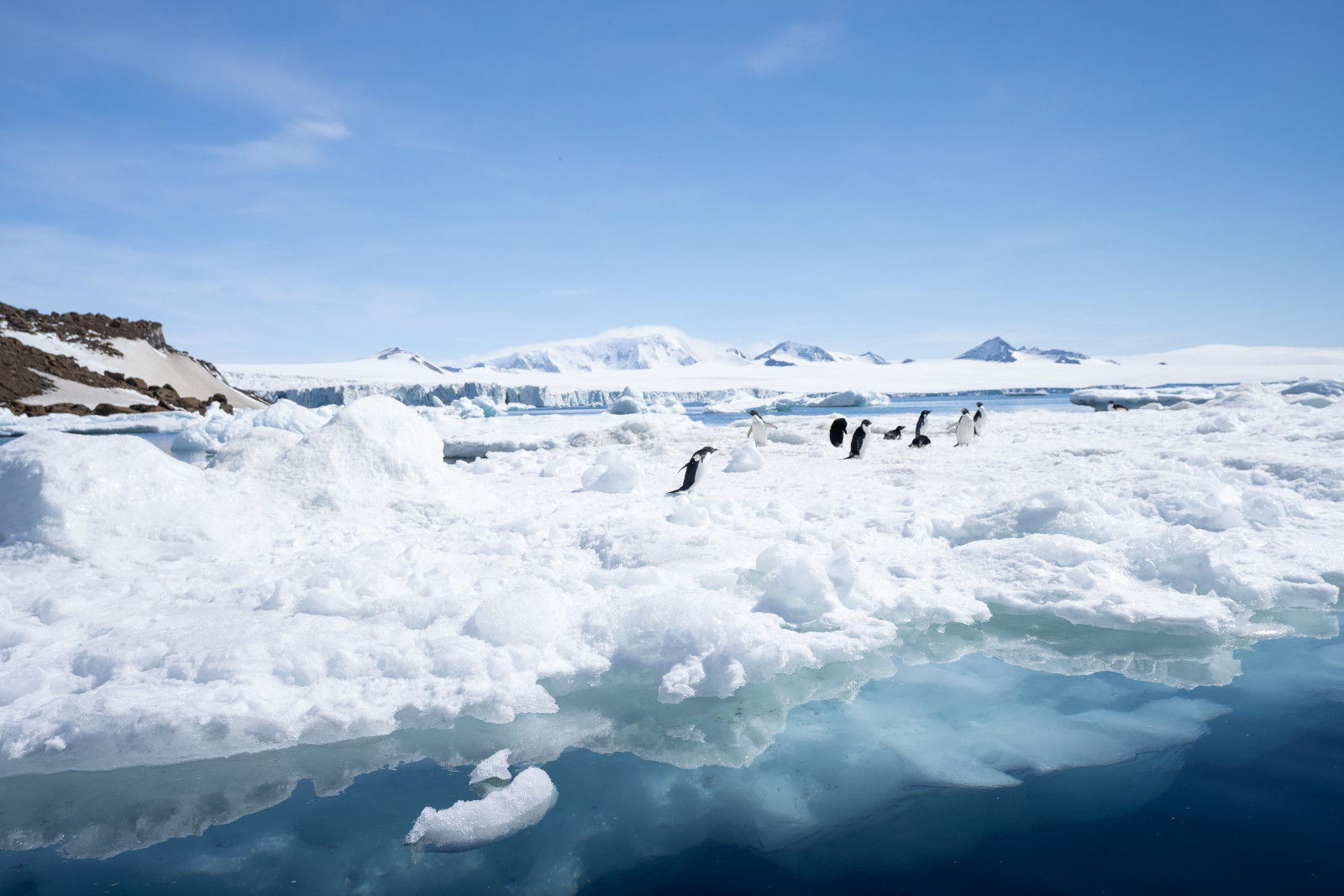 View of the Antarctic landscape and fauna, including a waddle of penguins.
©Luján Agusti/National Geographic