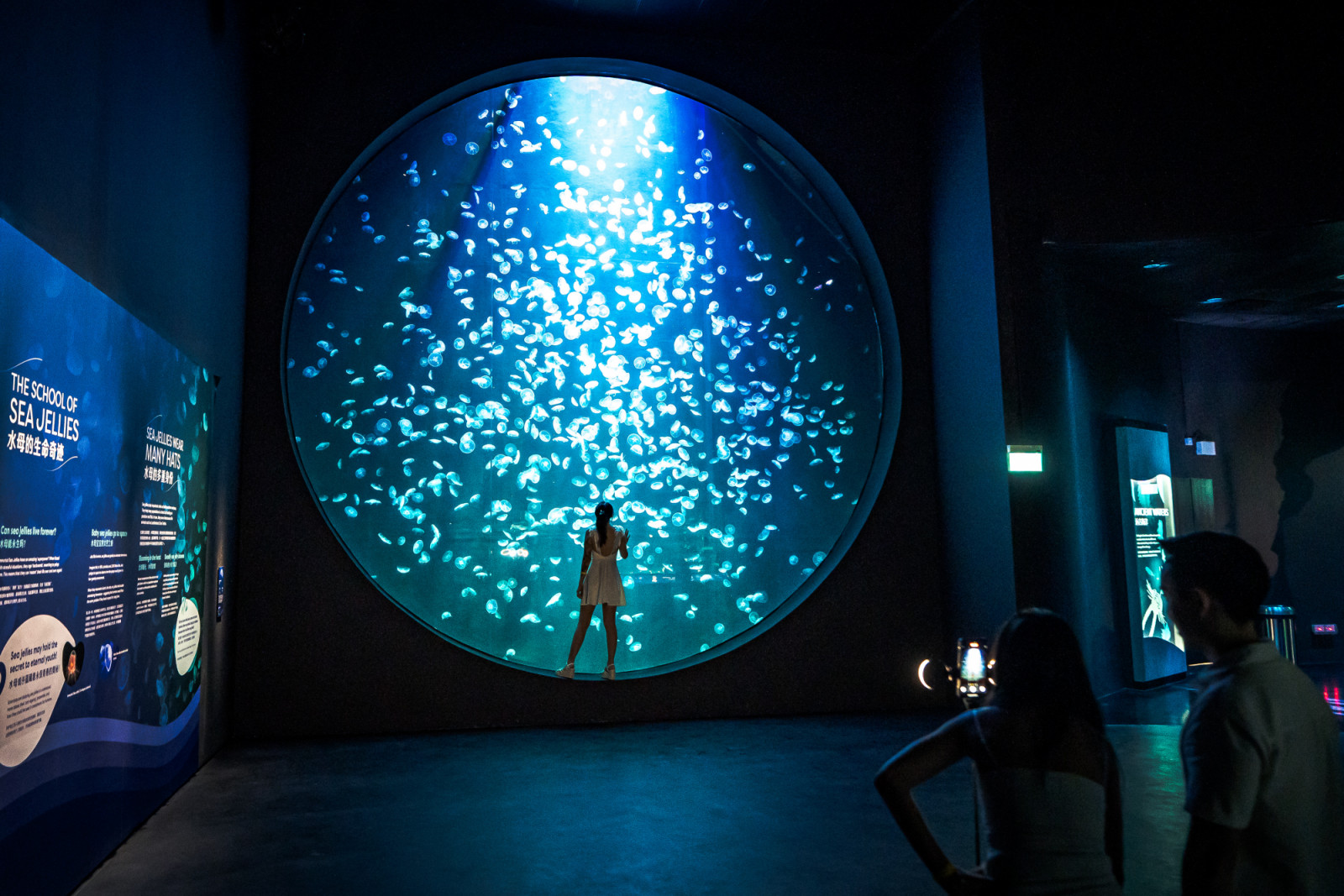 rws singapore resorts world oceanarium